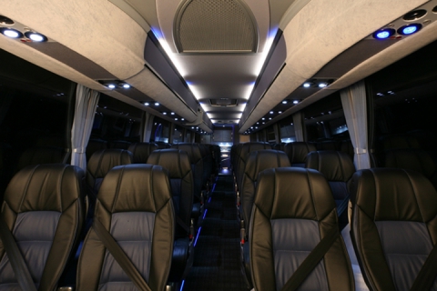 Plaxtons - Coach interior